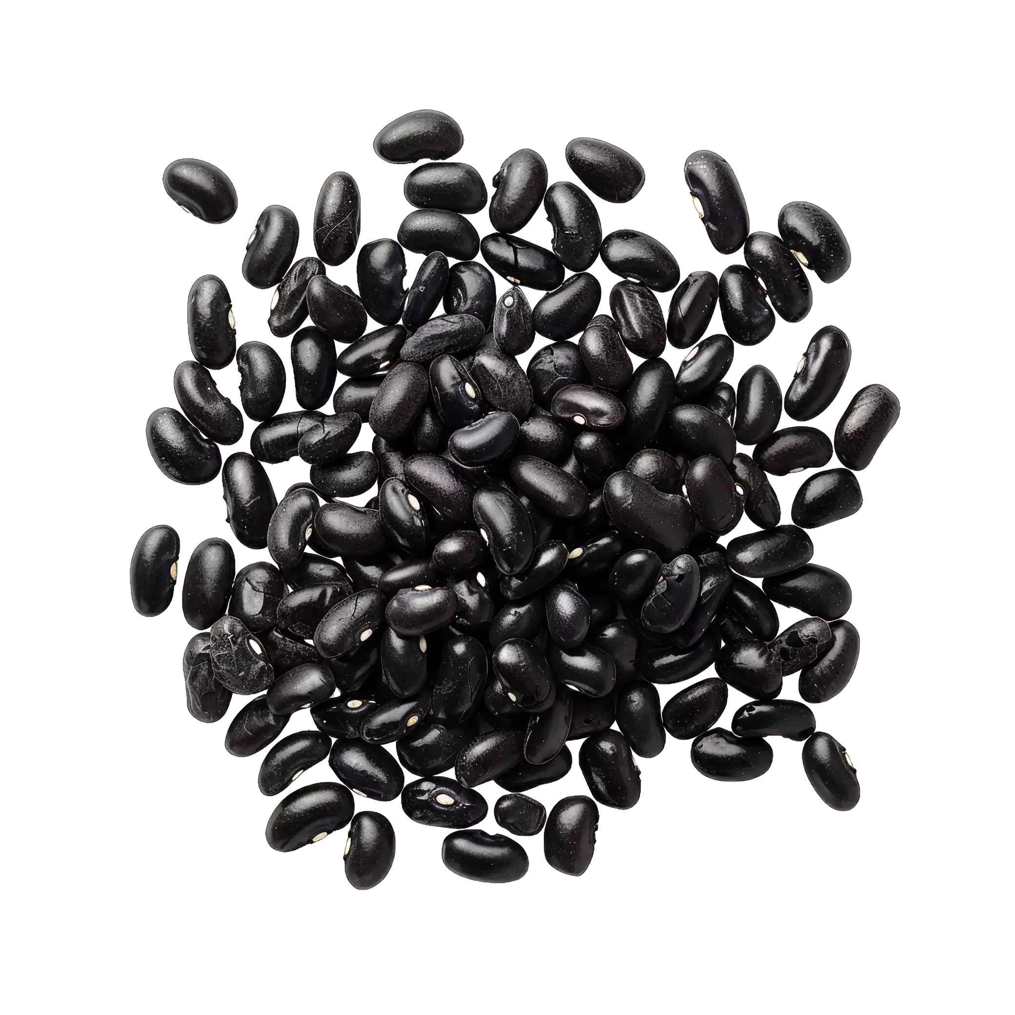 Black Gram
