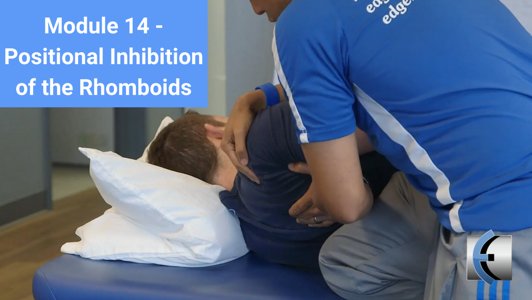 Module 14 - Positional Inhibition of the Rhomboids