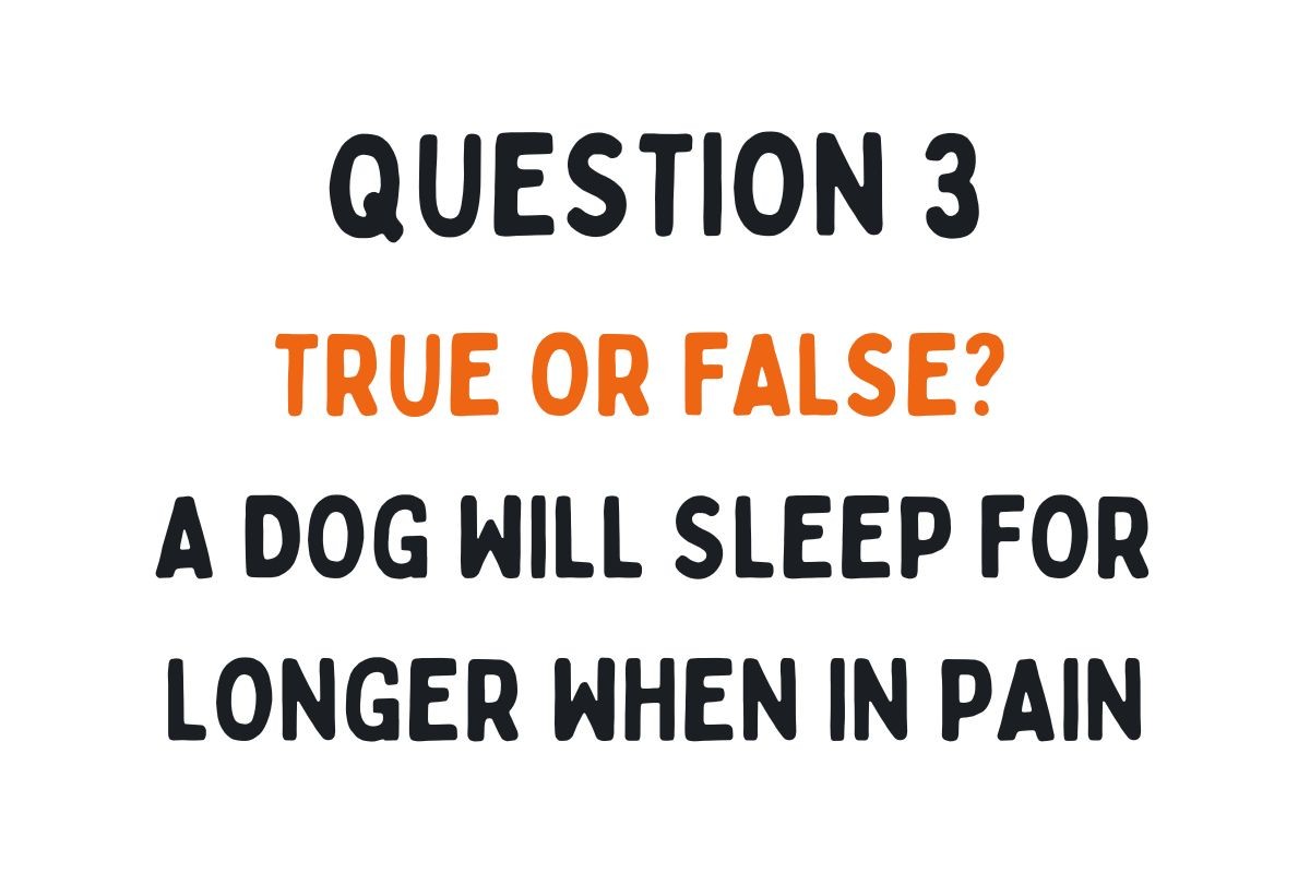 Question 3: True or False? A dog will sleep for longer when in pain