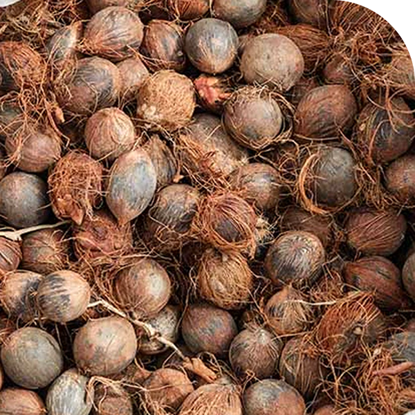 ASTROCARYUM MURUMURU SEED BUTTER - Mobile
