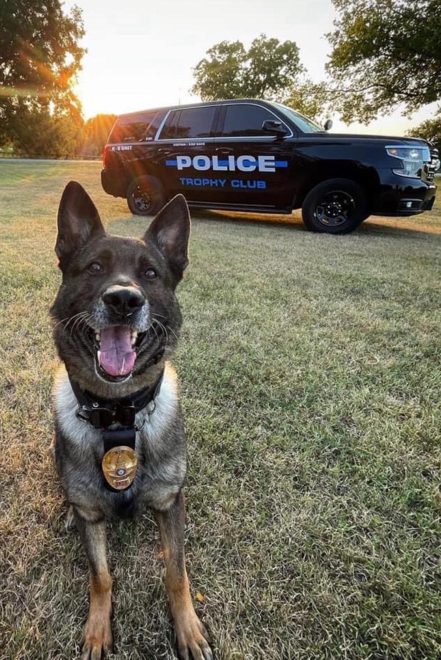 k9 indy