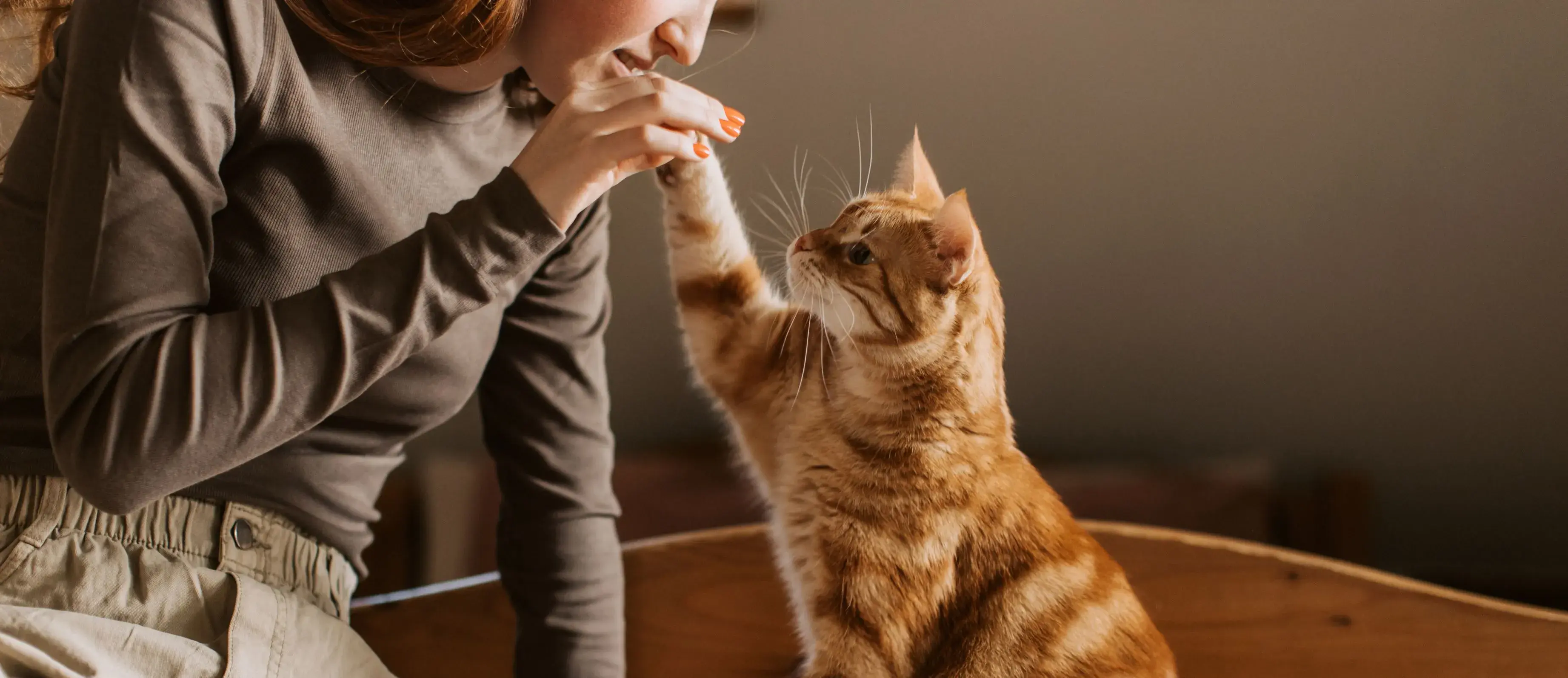 A woman interacts with a cat, petting its head to reinforce positive behavior during training.