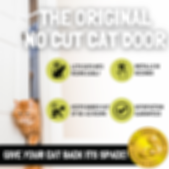 Door Buddy - adjustable baby door strap for cats