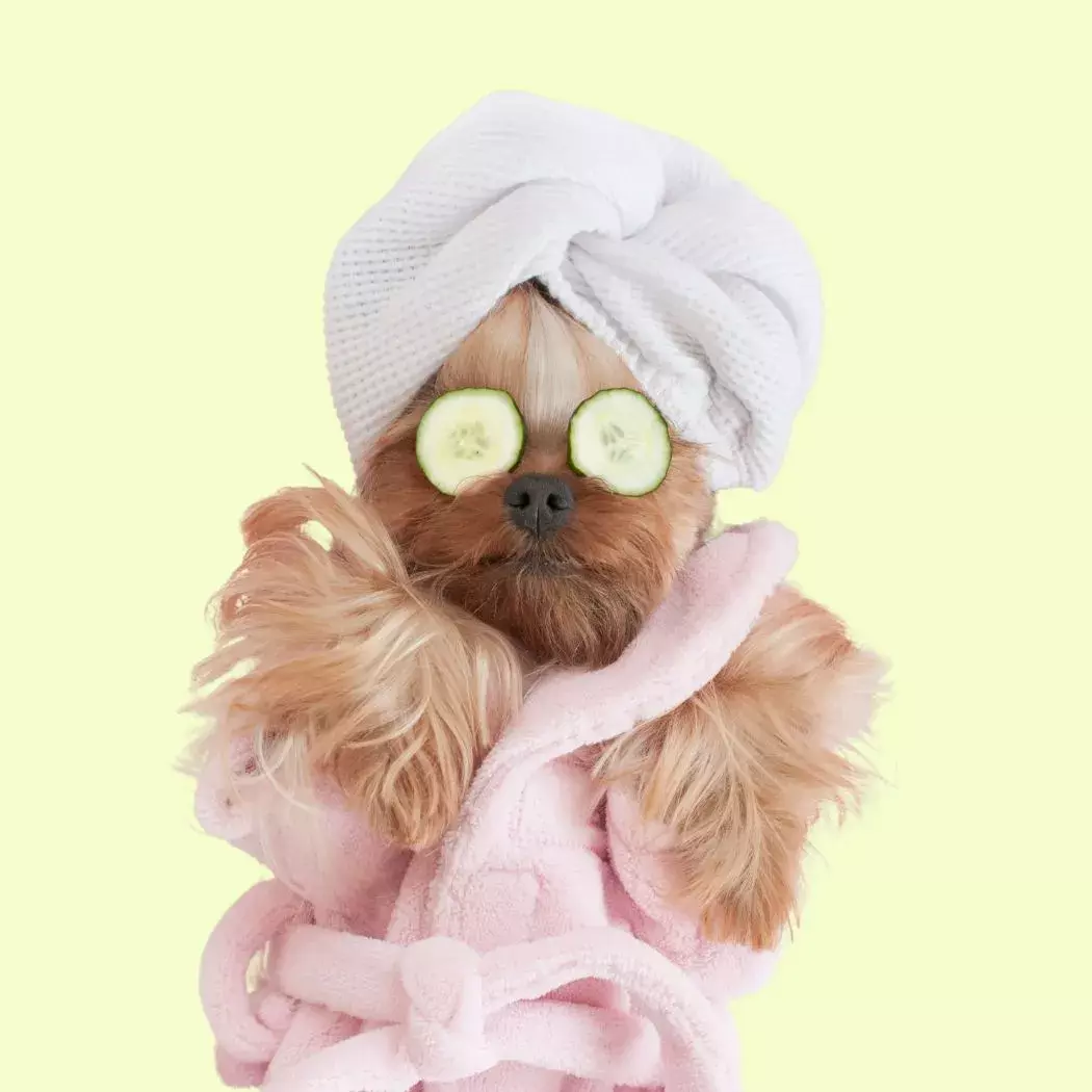 dog and mom spa voucher