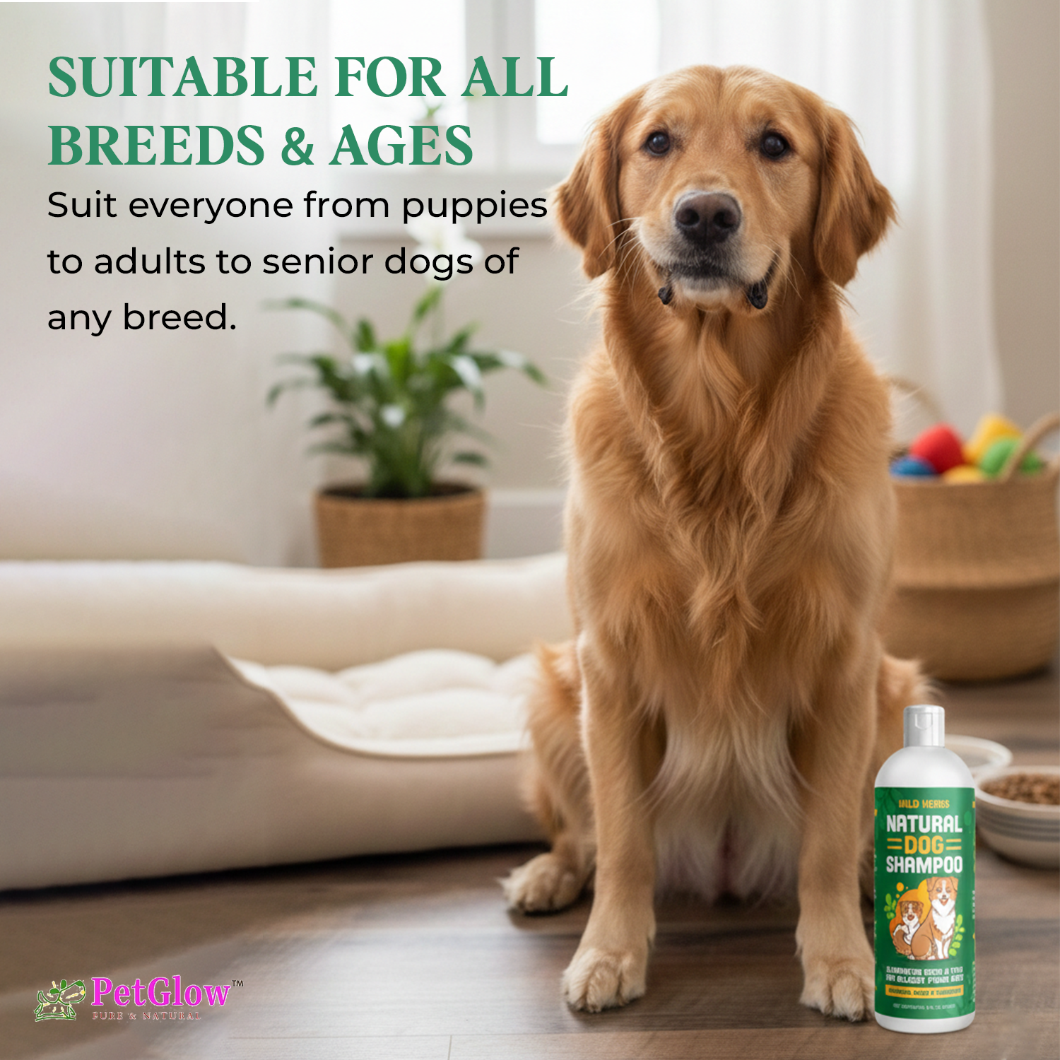 Dog Anal gland relief