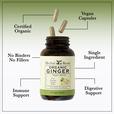 Bottle of Herbal Roots Organic Ginger with three pills spilling out of the top of the bottle. There are several lines pointing to the bottle and the capsules. The lines say Certified Organic, Vegan Capsules, Single ingredient, No Binders or fillers, Immune support and digestive support.