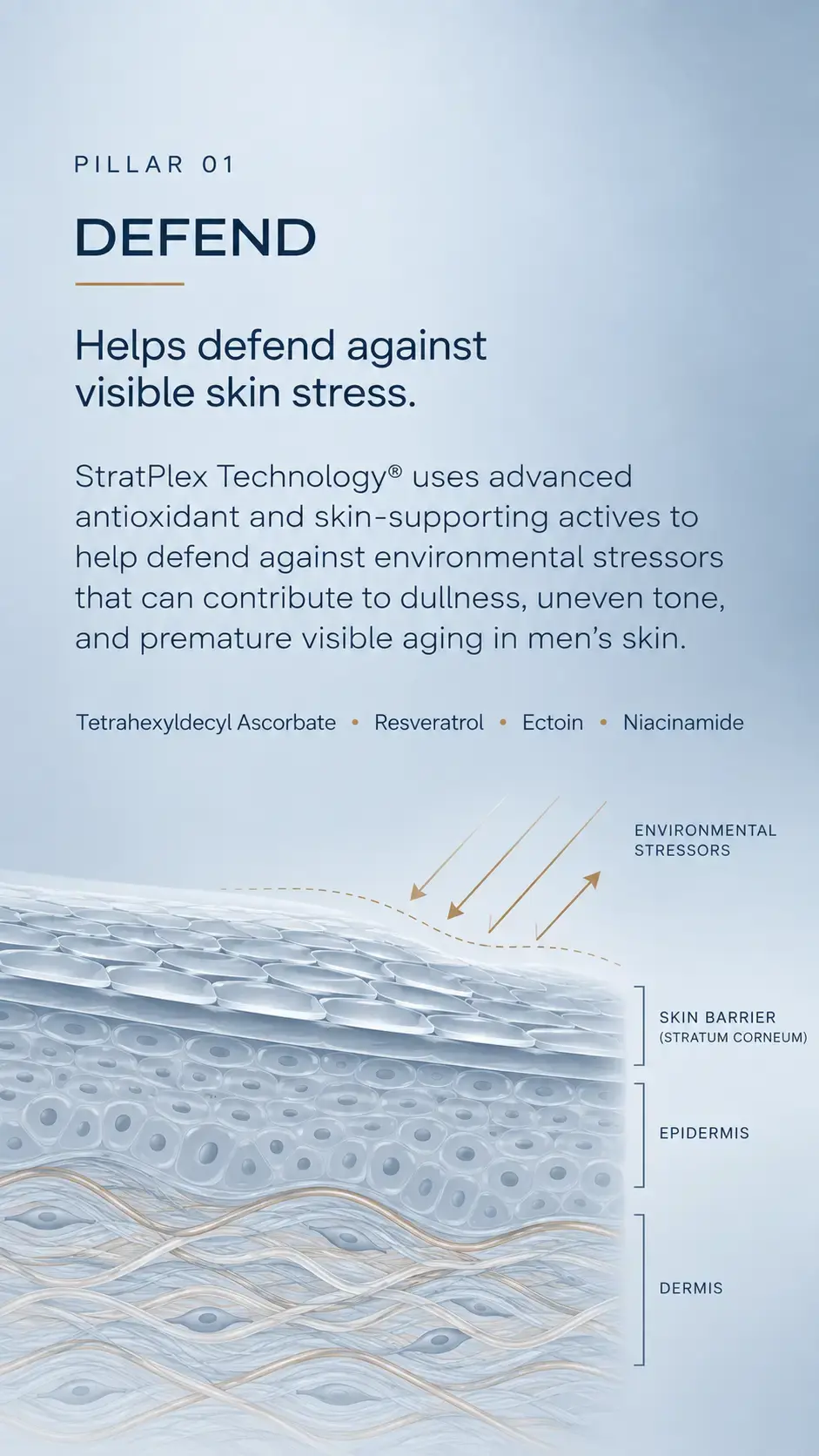 PILLAR 02 — RESTORE Headline: RESTORE Subhead: Helps replenish moisture and reinforce the skin barrier. Supporting copy: StratPlex Technology® combines barrier-supporting lipids and advanced hydrators to help replenish lost moisture, strengthen the look of the skin barrier, and improve the appearance of dry, stressed skin.