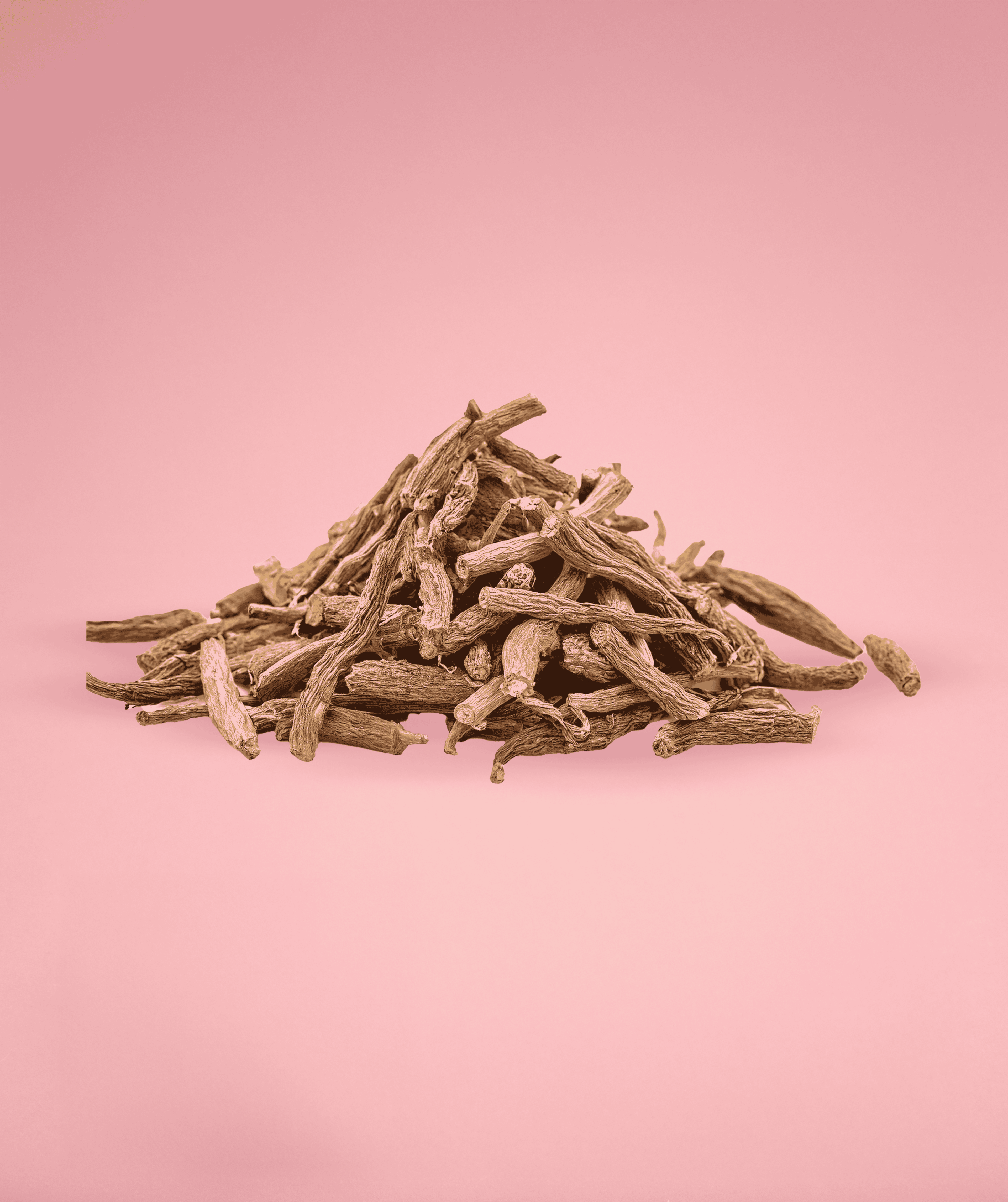 Indian Madder Stems