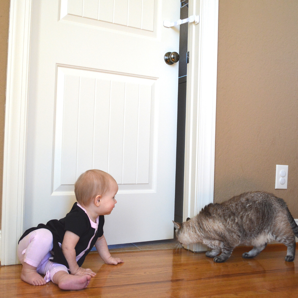 Baby approaching a doorway with a cat nearby, highlighting the need for Door Buddy cat door access while keeping toddlers out.