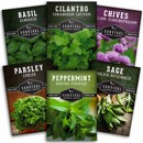 Hydroponic Herb Seed collection - 6 herb seed packets