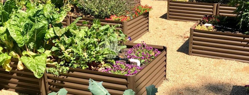 rustic series garden beds