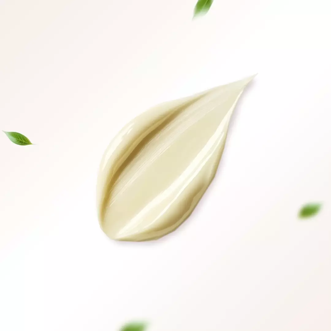 CERABUILD cream texture