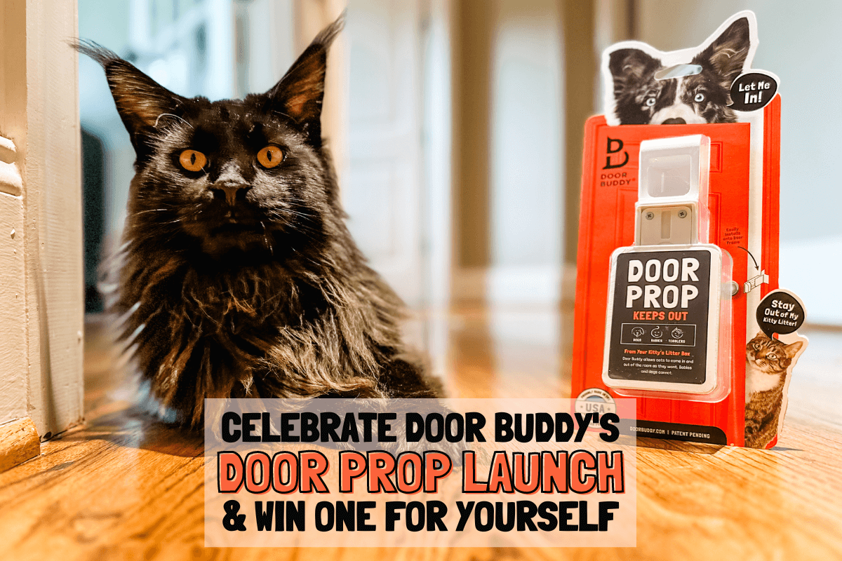 Door Buddy - National Pet Week Giveaway