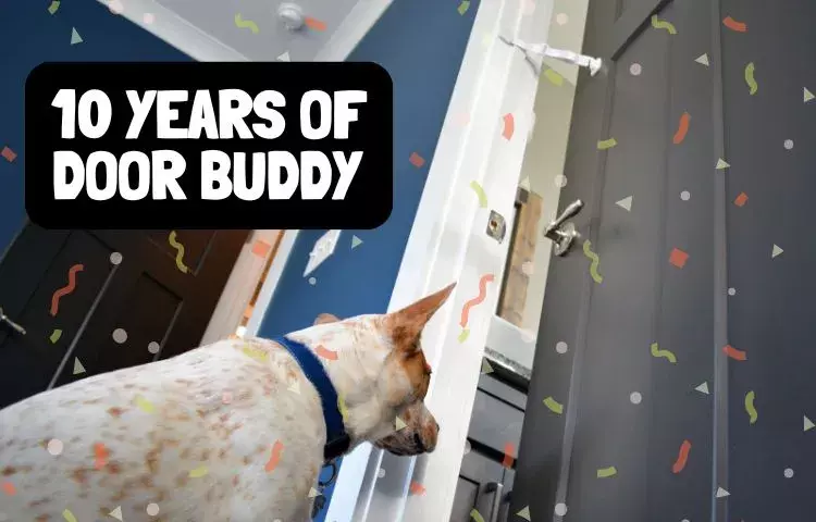 10 years of door buddy