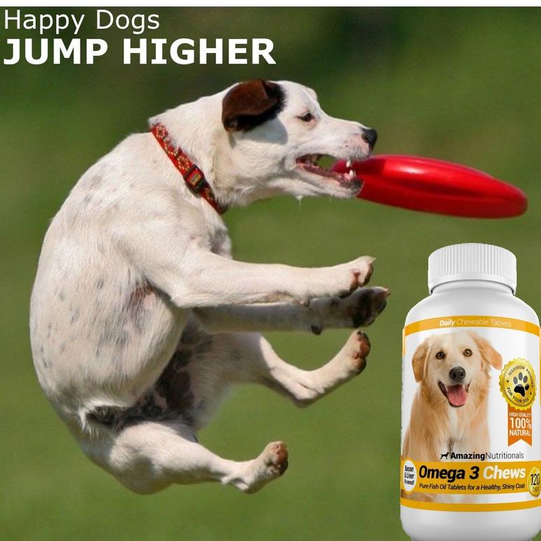 omega 3 6 9 for dogs dosage