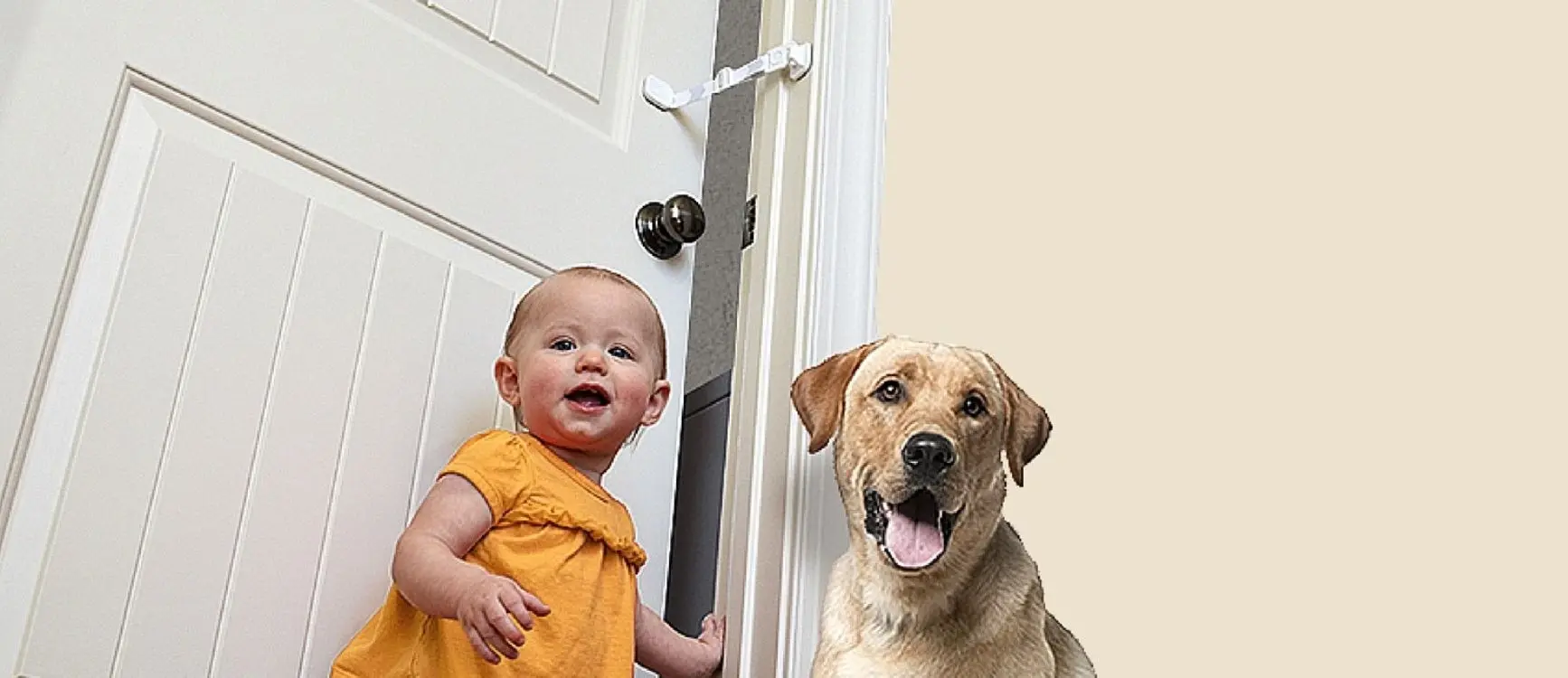 A baby stands beside a dog in a doorway, secured by a door buddy strap for safety.