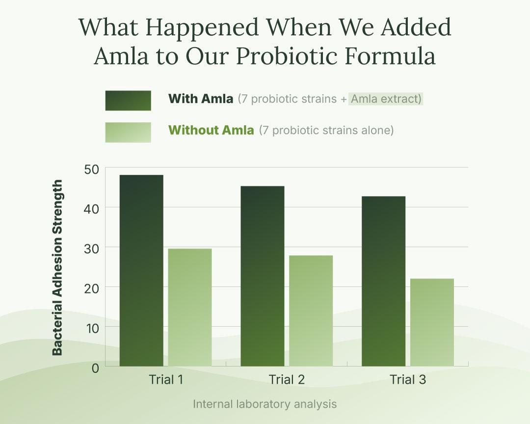 Bar chart comparing two probiotic blends, showing higher gut bacteria support with amla-added formula across three tests.