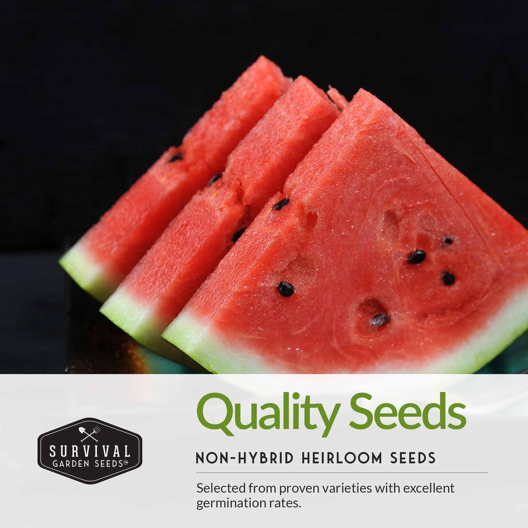 Quality non-hybrid heirloom watermelon seeds for planting