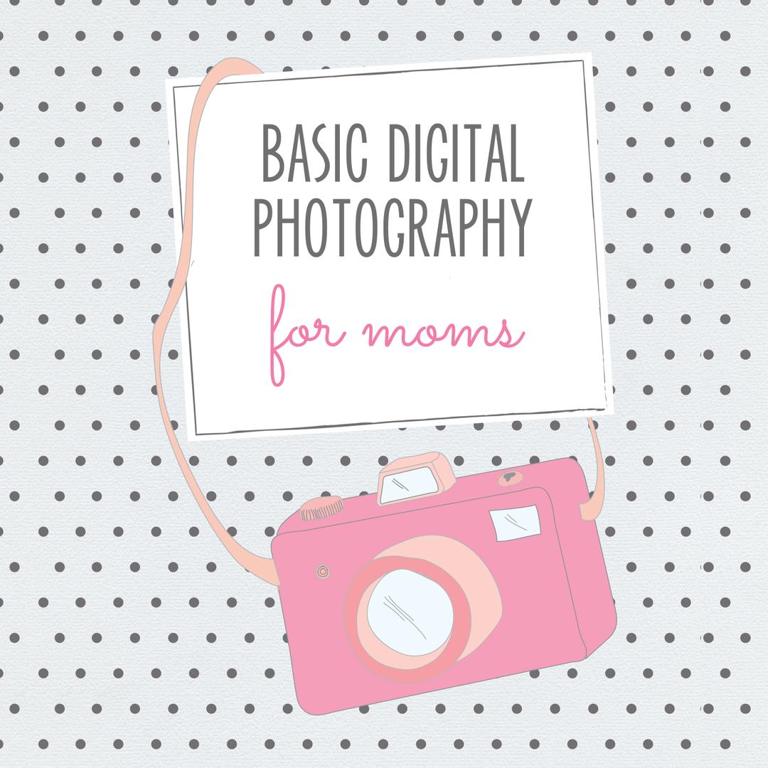 Teach Photography Workshops to moms