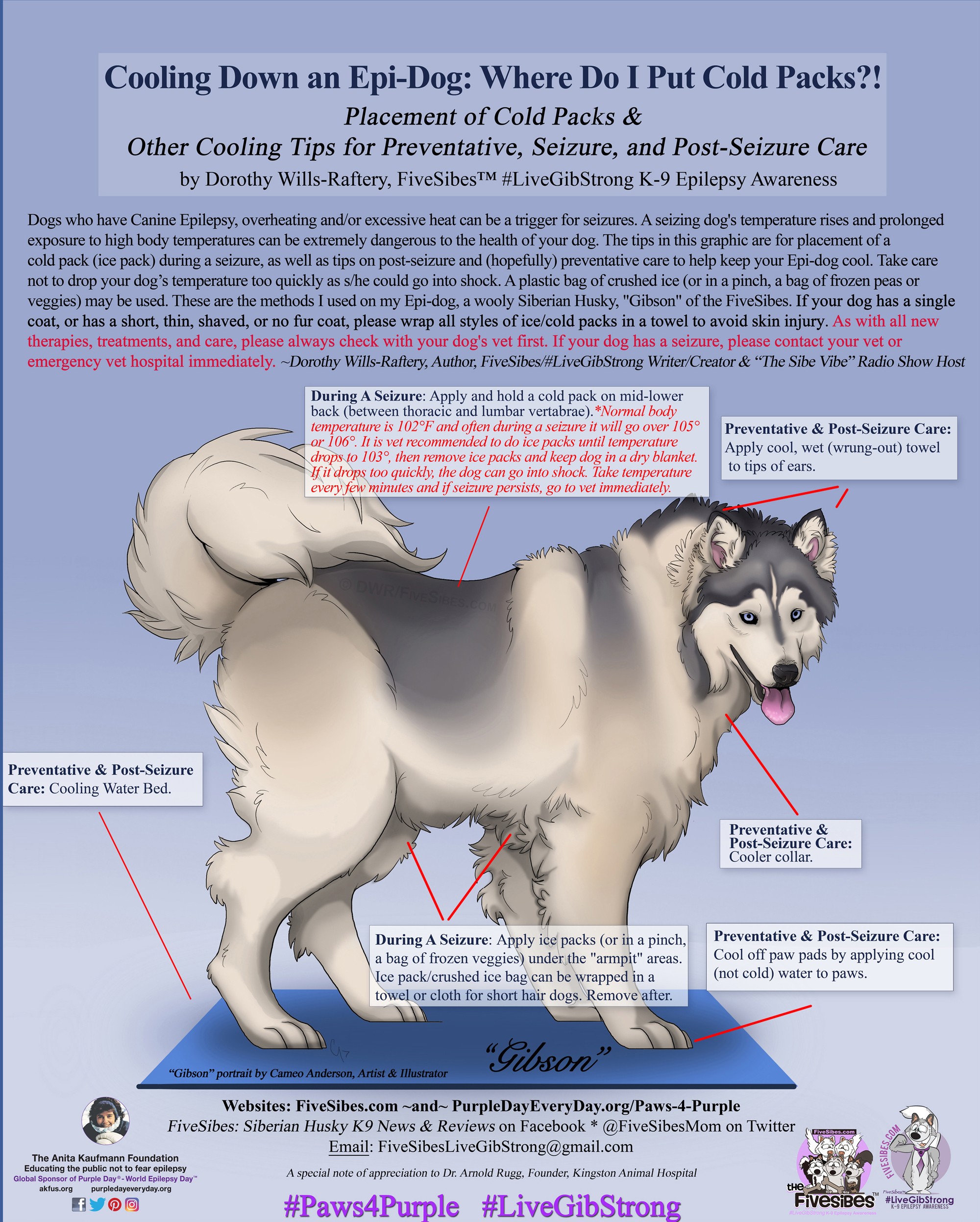 Épilepsie canine : les compresses froides peuvent aider les chiens souffrant de convulsions