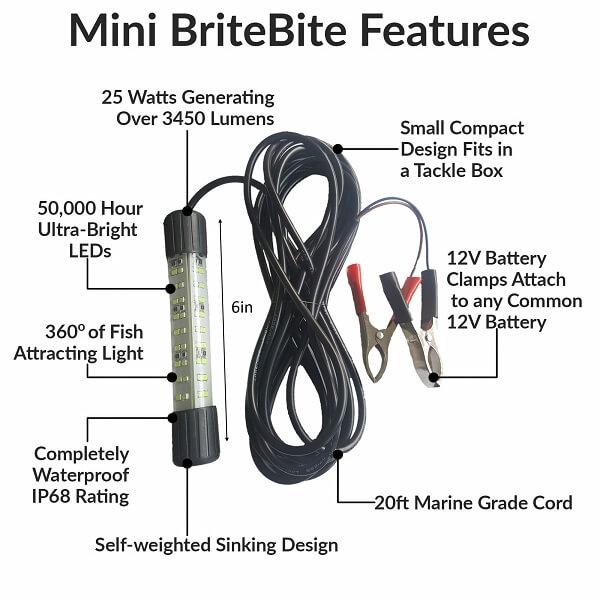 Underwater Bait Light | Fishing Bait LED Lights,Bright Colors Night Fishing  Tools for Ponds, Rivers, Freshwater, and Saltwater Ngumms