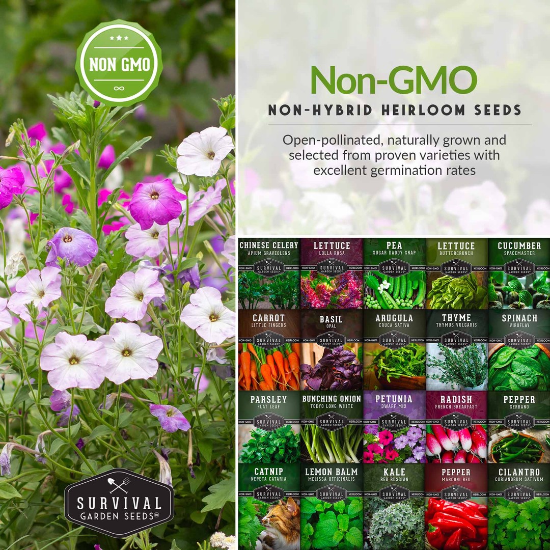 Non-GMO non-hybrid heirloom seeds for container gardening