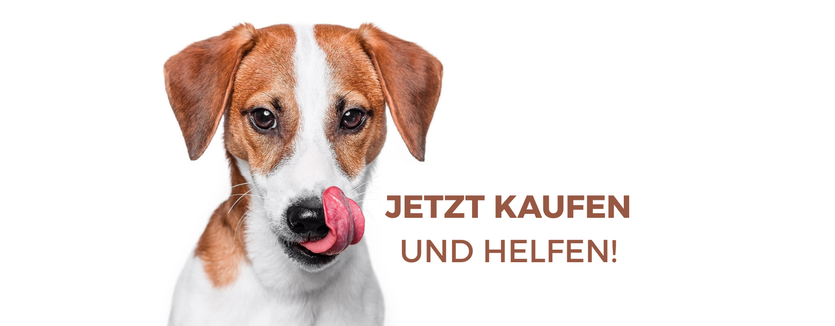 Jetzt kaufen und Helfen!