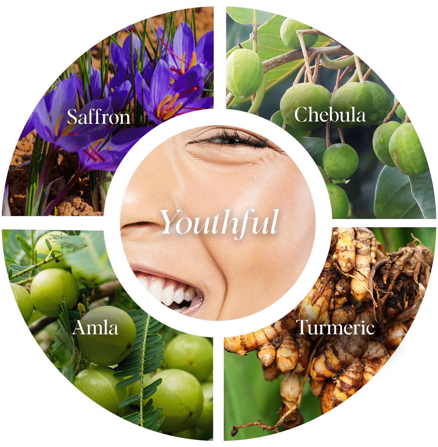 Ayurvedic ingredients that will act as a targeted solution for your aging skin concerns - without causing any additional damage.