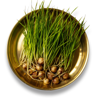 A bowl of nut grass surrounded by floral artworks