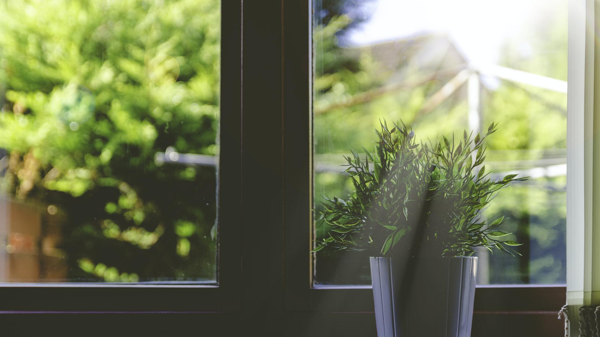 How to Stop Clothes Smelling Damp When Drying Indoors Lifestyle