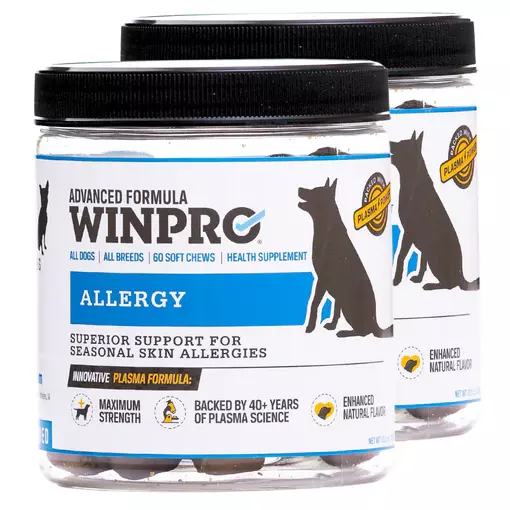 Allergy