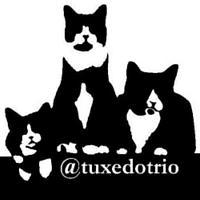 Door Buddy featured on TuxedoTrio