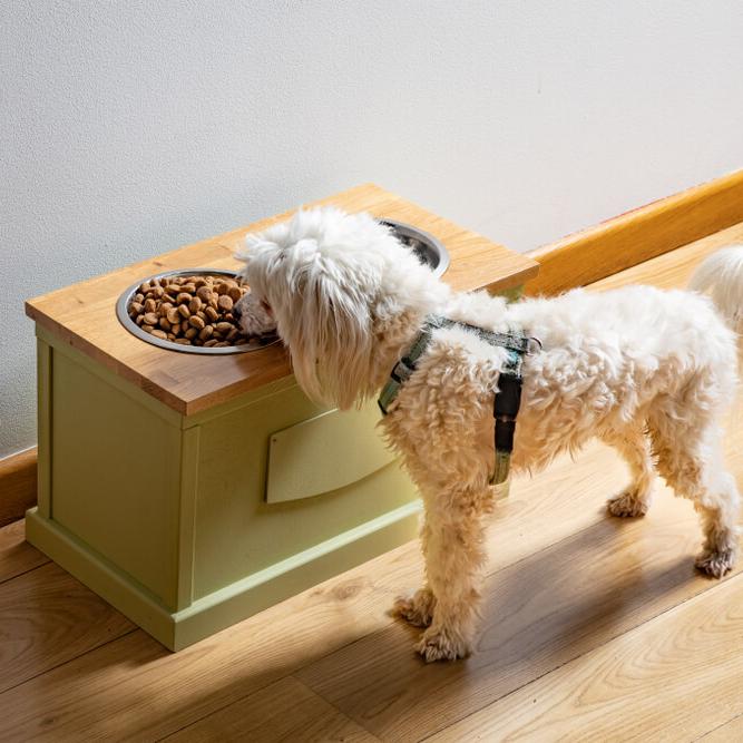 wild alaskan salmon oil