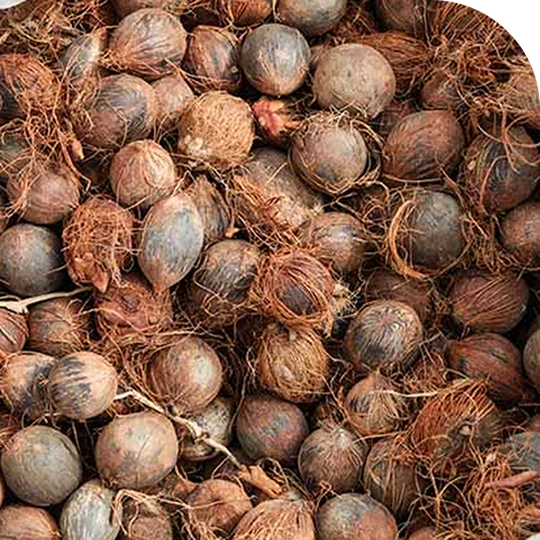 Murumuru Butter