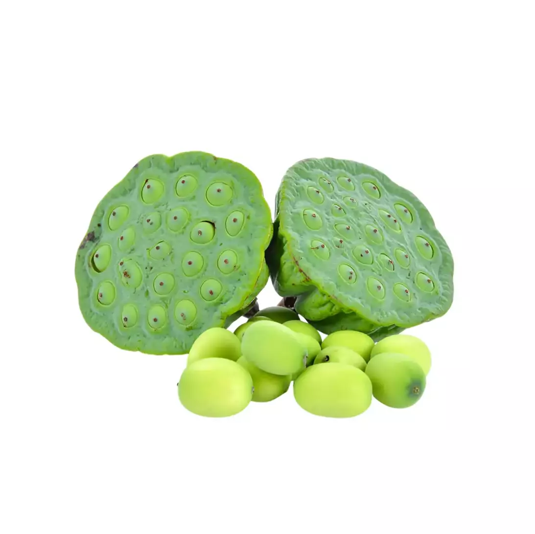 Lotus Seed