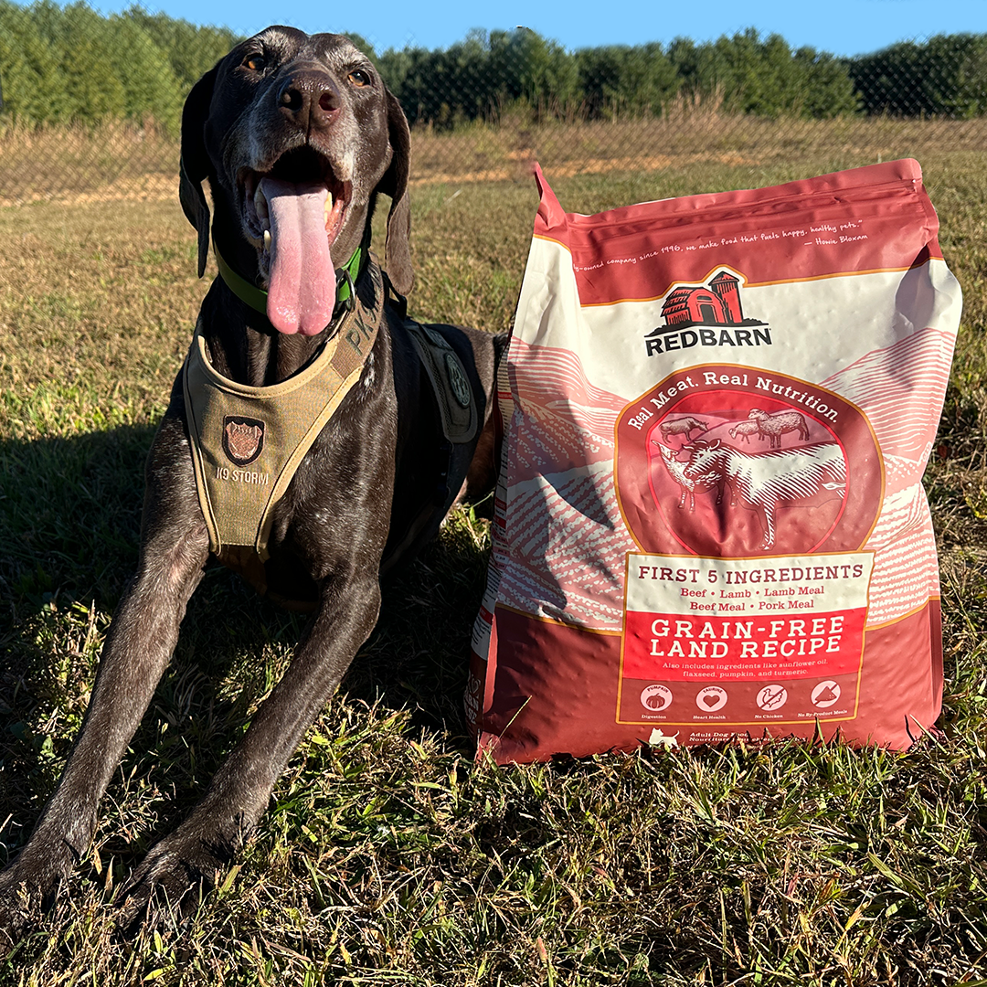 Project K-9 Hero's Program Member with prescription food.