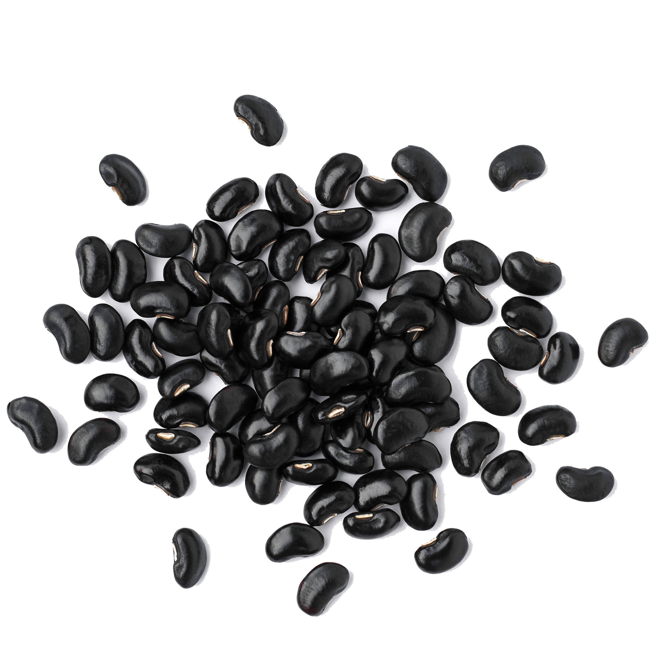 Black Gram