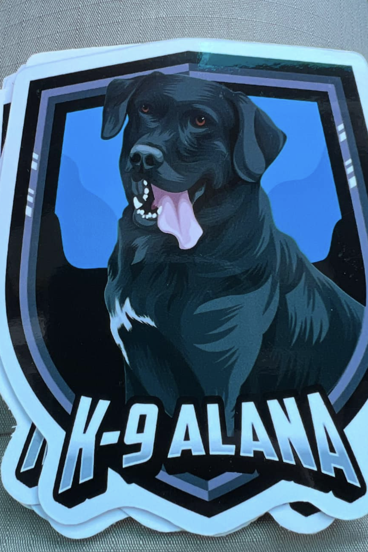 k9 alana 319