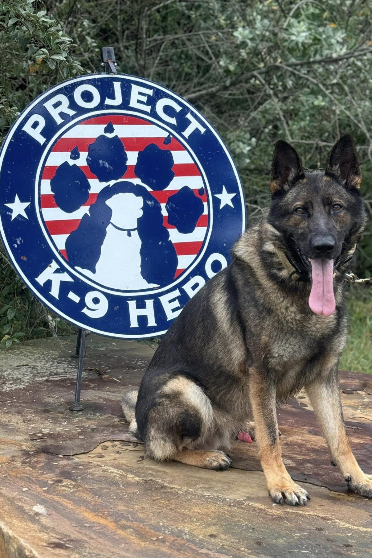 k9 bak at p9h
