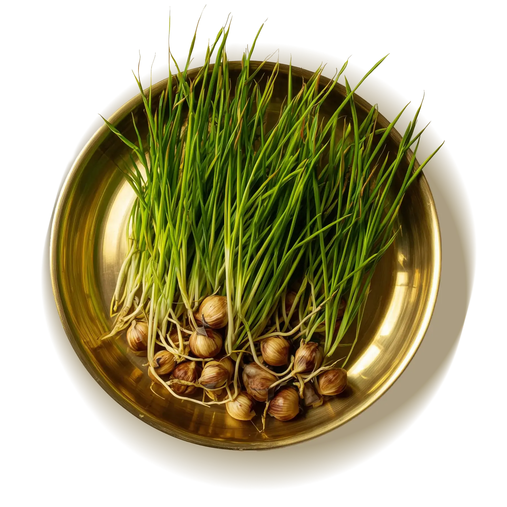 A bowl of nut grass surrounded by floral artworks