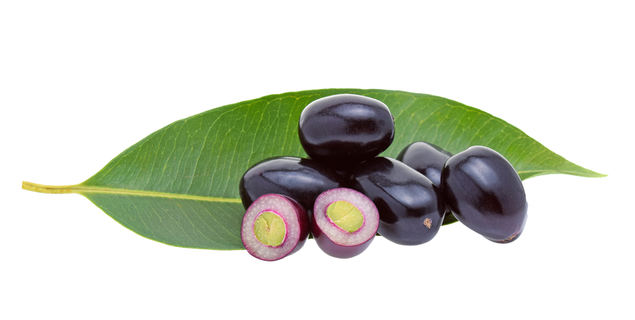 Black Plum