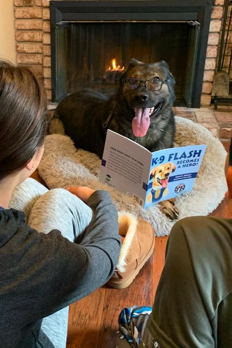 k9 basco reading a kids book