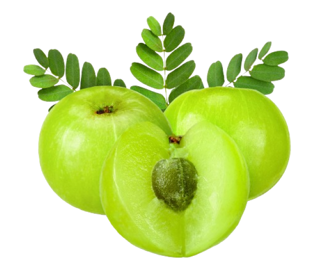 Amla2 - ingredient