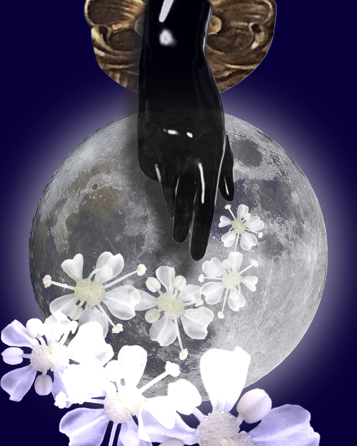 Hemlock eye and moon