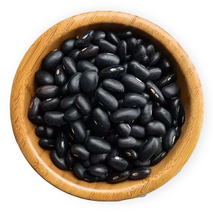 BLACK GRAM EXTRACT