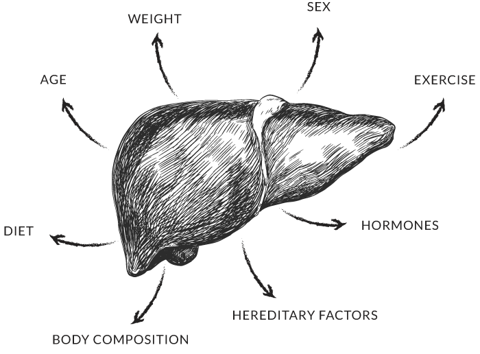 Factors that affect liver health are weight, sex, exercise, hormones, hereditary factors, body composition, diet and age.