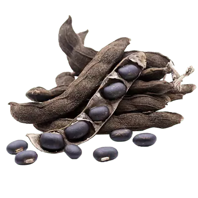 Velvet Bean