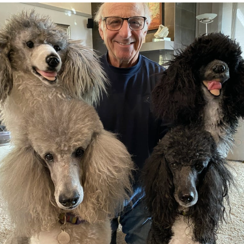 Poodles