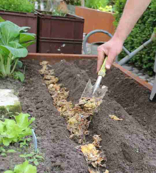 composting increases your soil health