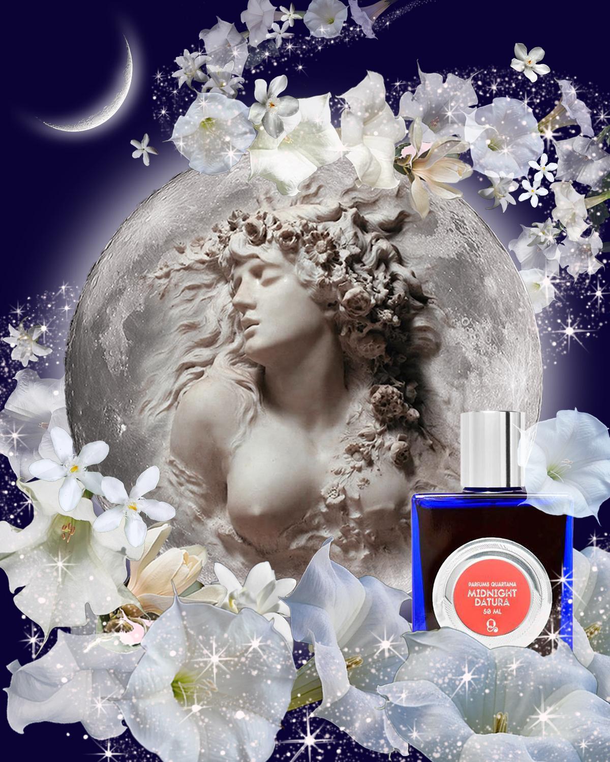 Midnight Datura by QUARTANA